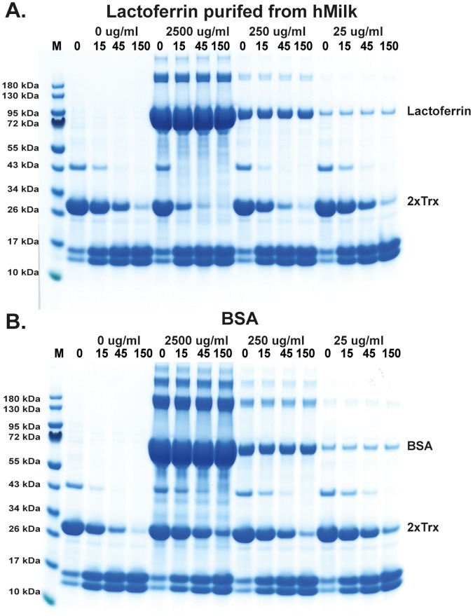 Fig 11