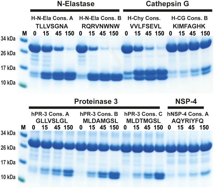 Fig 12