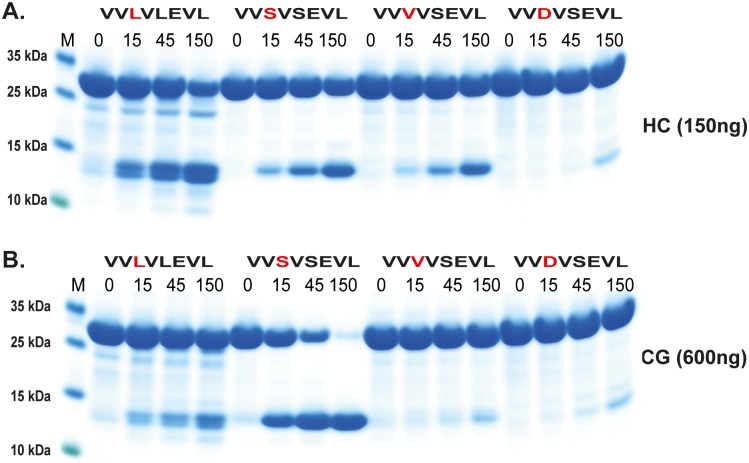 Fig 10