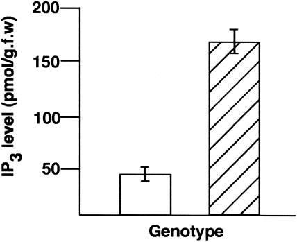 Figure 5.