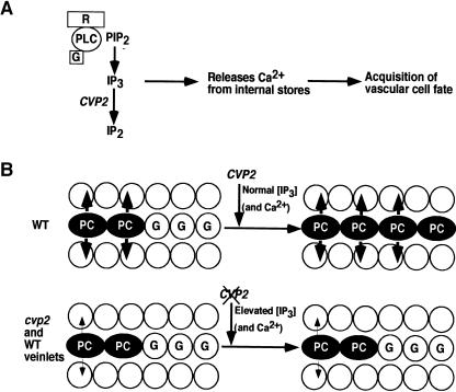 Figure 7.