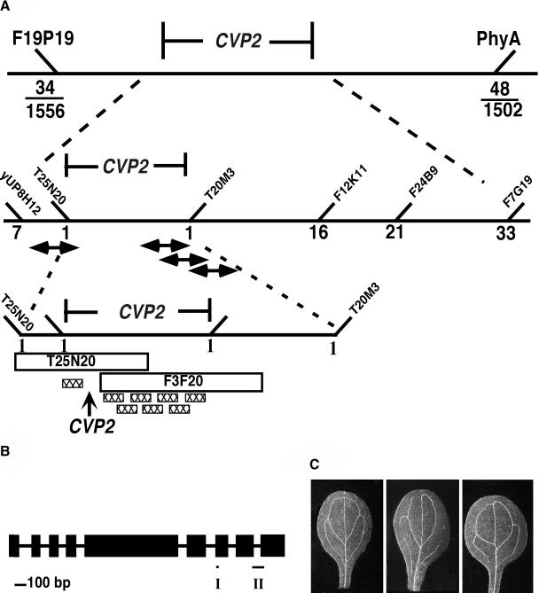 Figure 2.