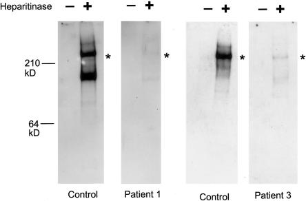 Figure  3