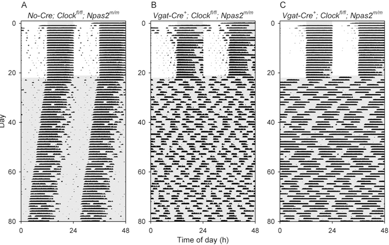 Figure 2.