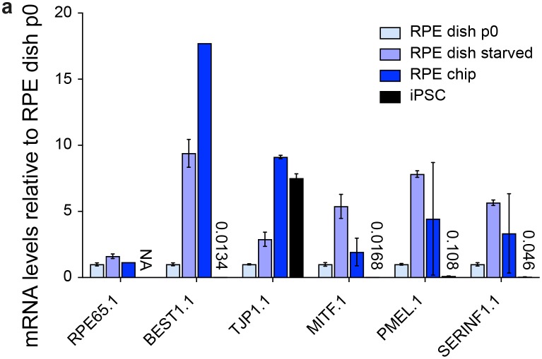 Figure 4—figure supplement 1.