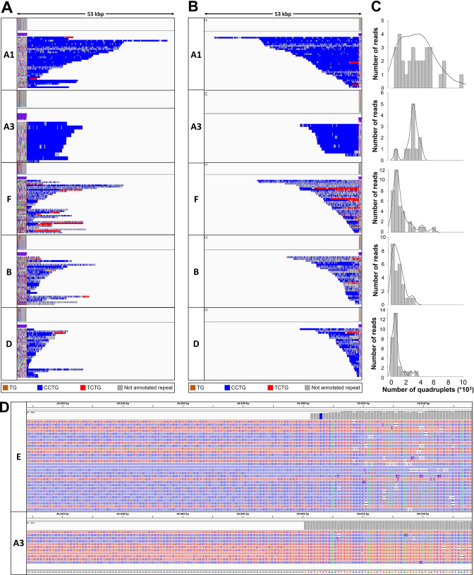 Figure 3—figure supplement 1.