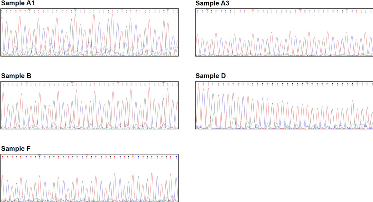 Figure 4—figure supplement 1.