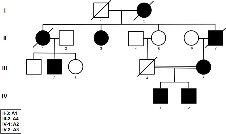 Figure 1—figure supplement 1.