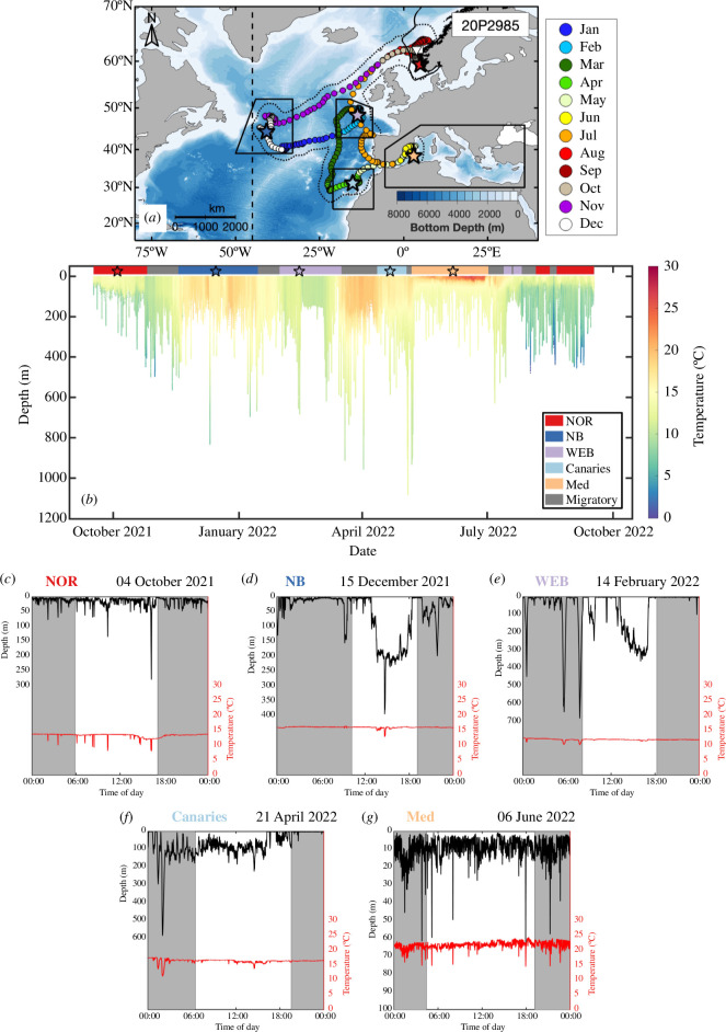 (a) Track and (b) archived depth time series of ABFT 20P2985.