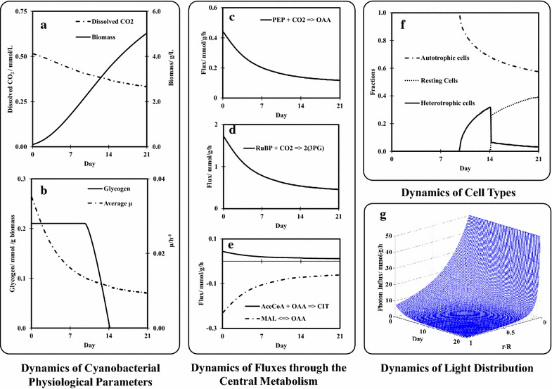 Fig. 2