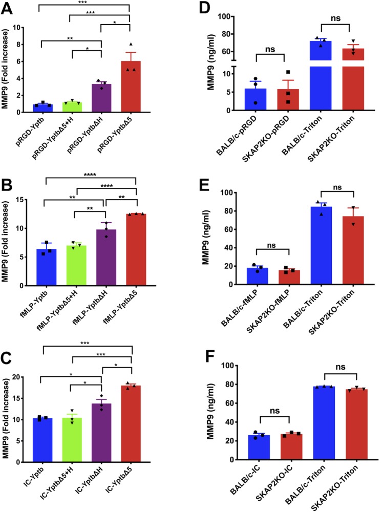 Fig 6