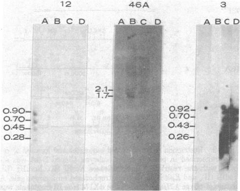 graphic file with name pnas00462-0280-a.jpg