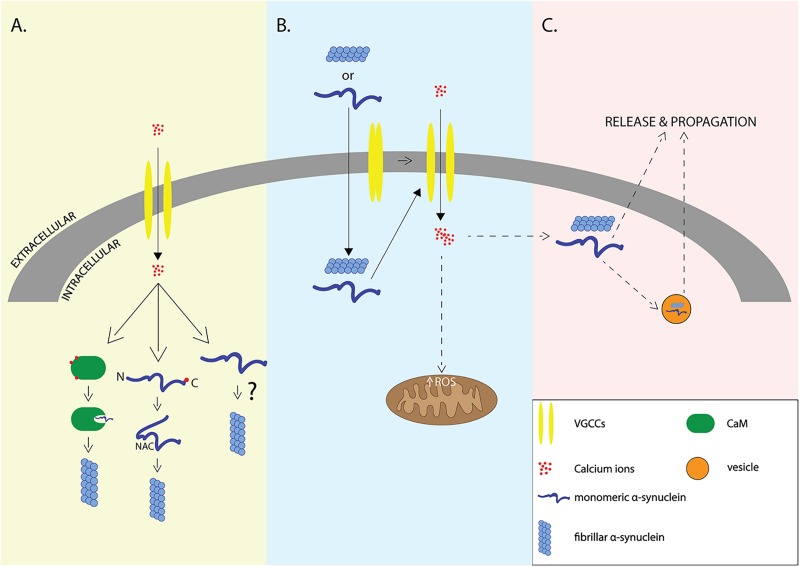 FIGURE 1