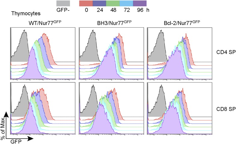 Figure 3—figure supplement 1.