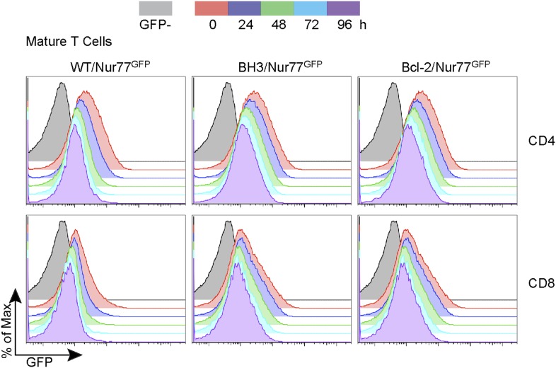 Figure 5—figure supplement 1.