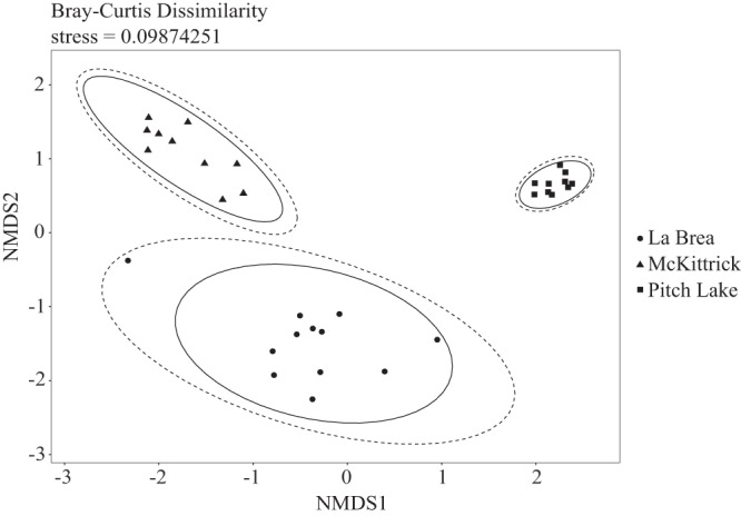 FIG 6