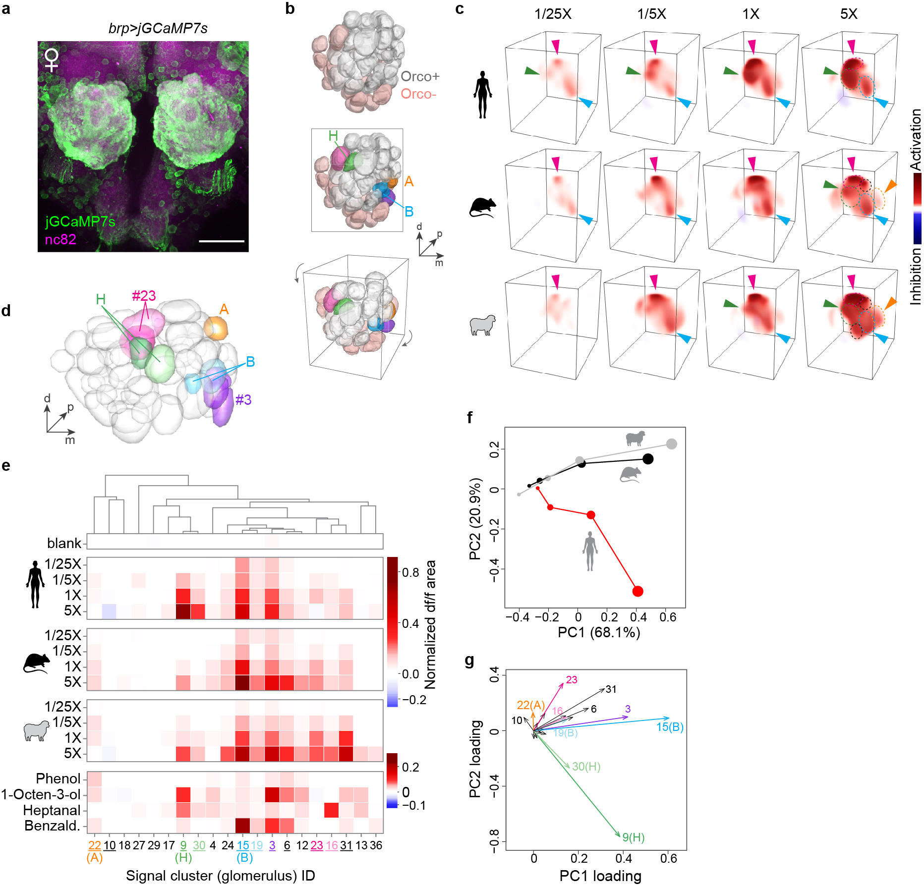 Extended Data Fig. 9 |