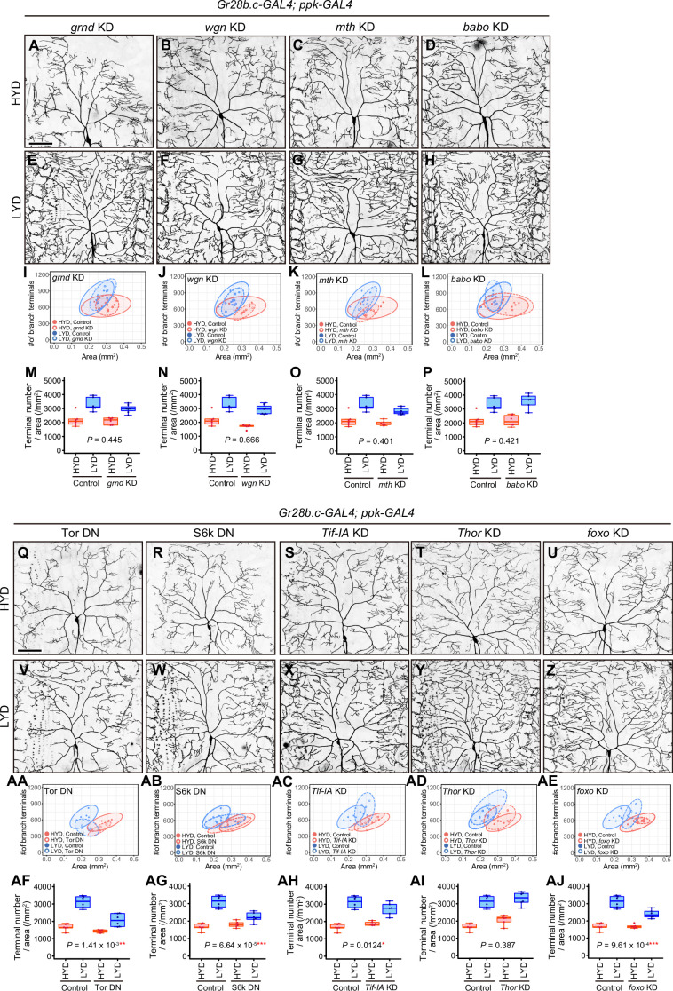 Figure 2—figure supplement 1.