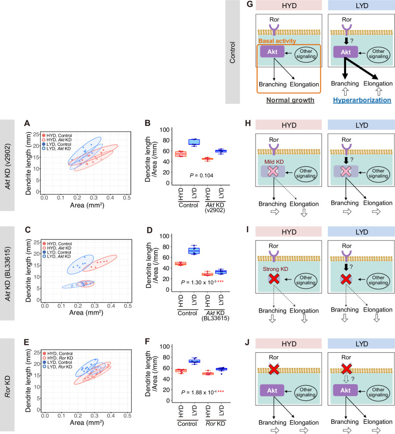 Figure 2—figure supplement 2.