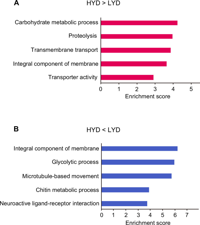 Figure 5—figure supplement 1.