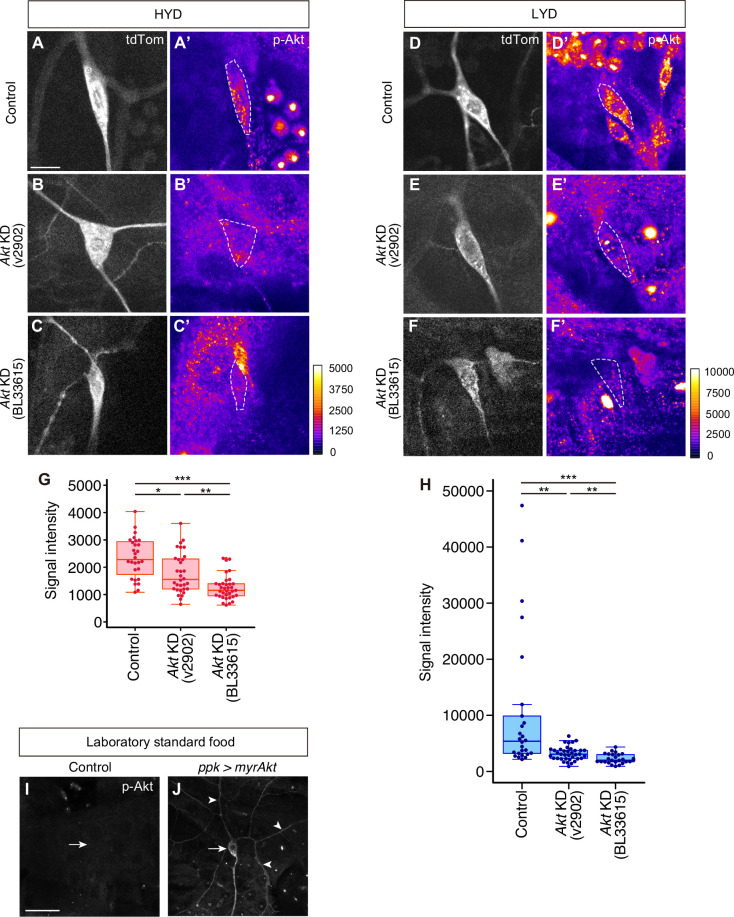 Figure 2—figure supplement 3.