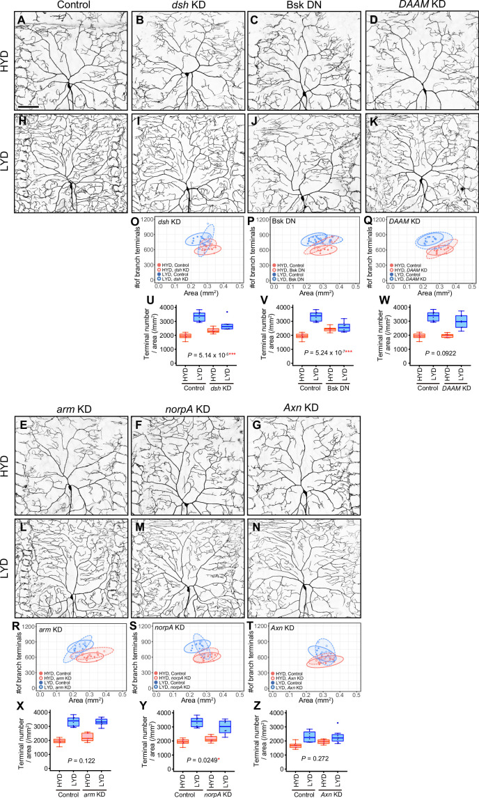 Figure 4—figure supplement 2.