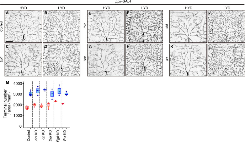 Figure 2—figure supplement 6.