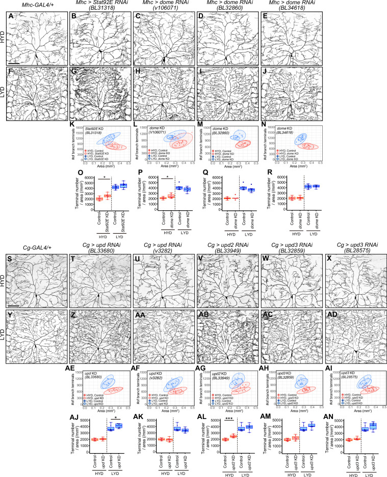 Figure 5—figure supplement 2.