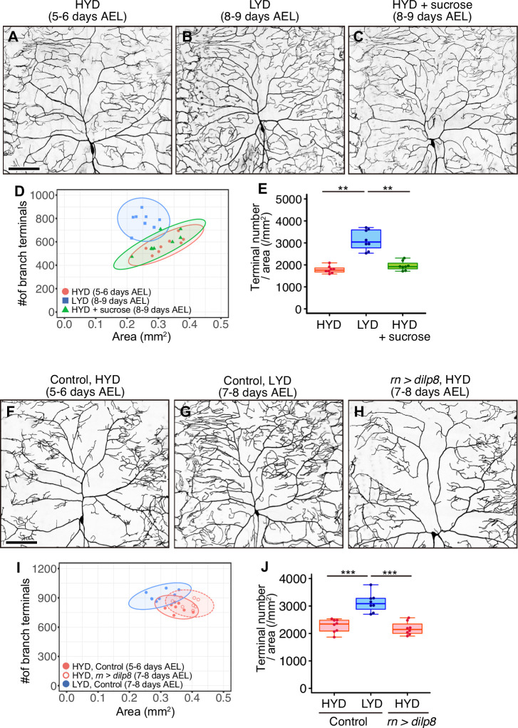 Figure 1—figure supplement 2.