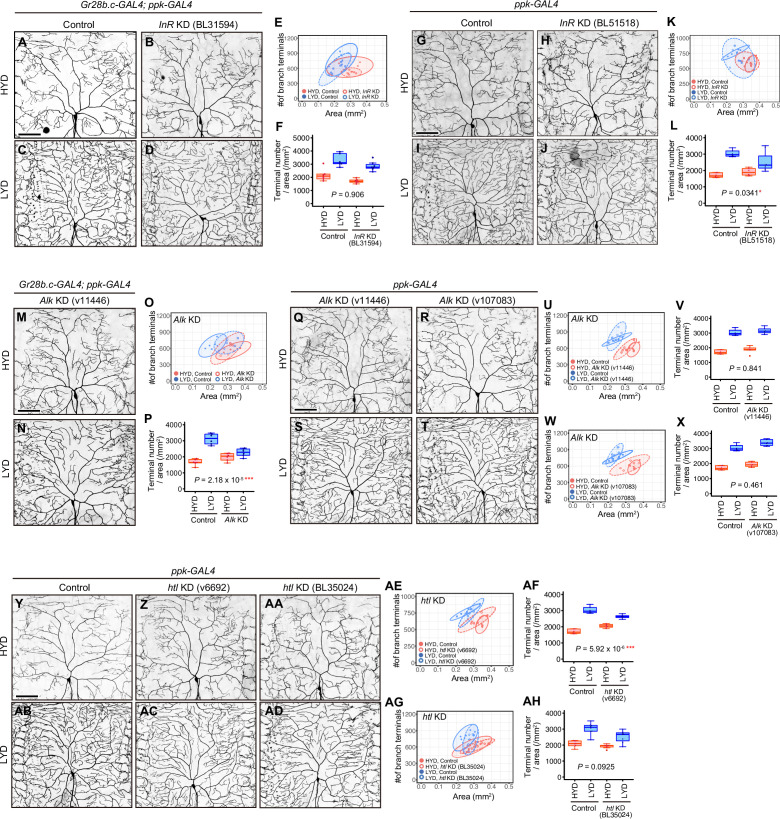 Figure 2—figure supplement 5.