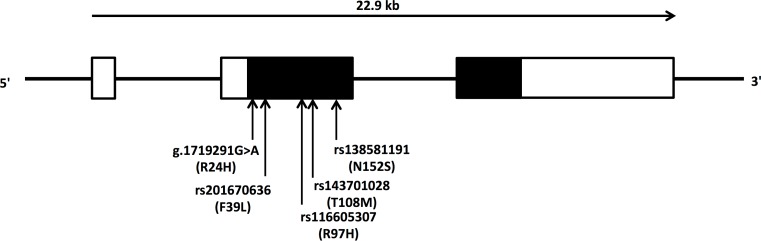 Fig 1