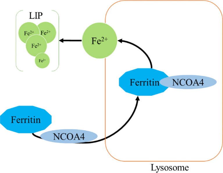 Figure 4