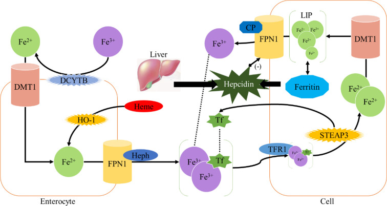 Figure 1