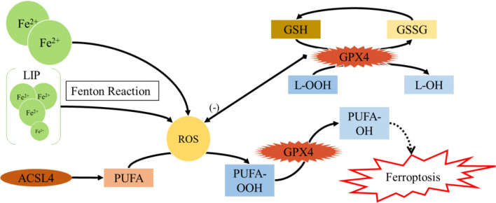 Figure 3