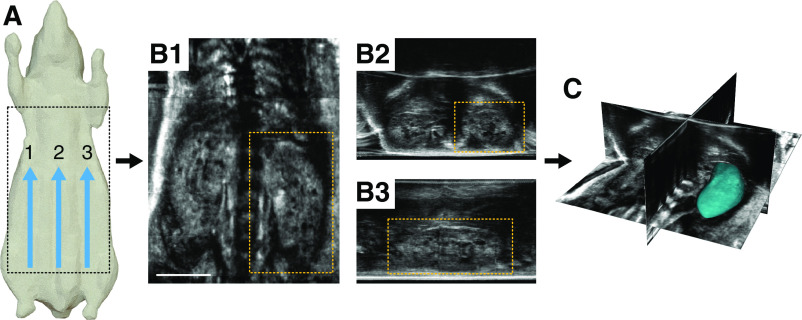 Figure 1.