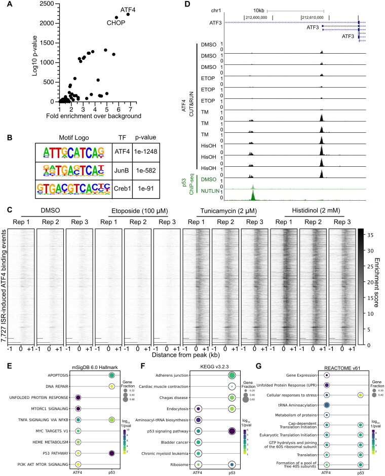 FIG 3