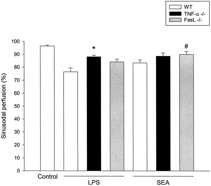 graphic file with name 15FF4.jpg