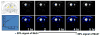 Fig. 18