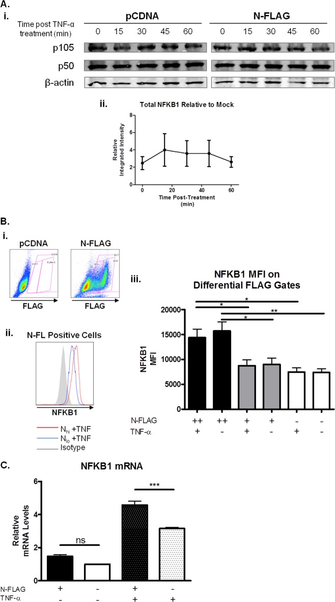 FIG 6