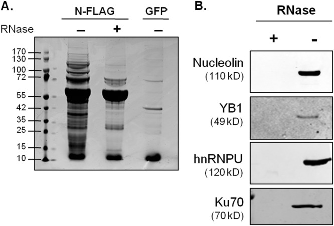 FIG 3