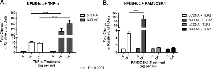 FIG 1