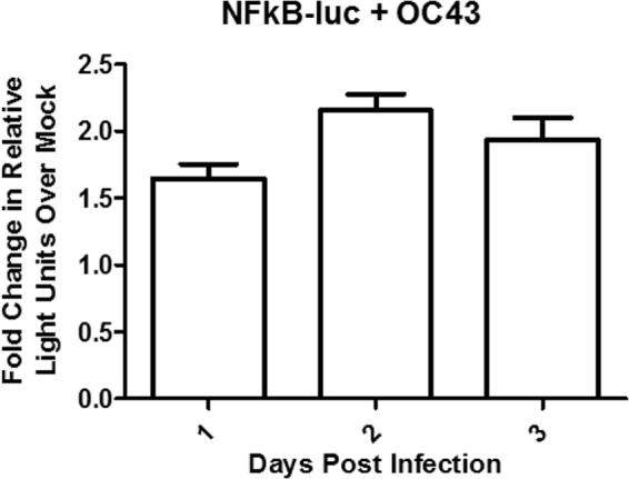 FIG 10