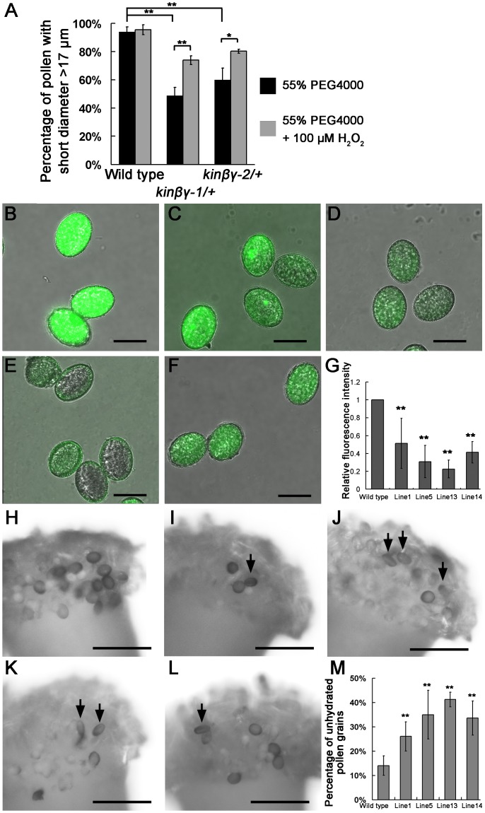 Fig 12