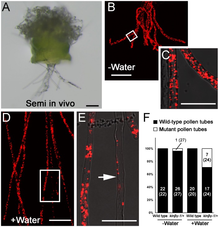 Fig 9