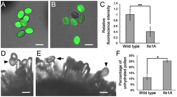 Fig 11