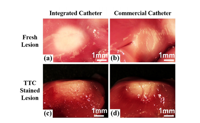 Fig. 4