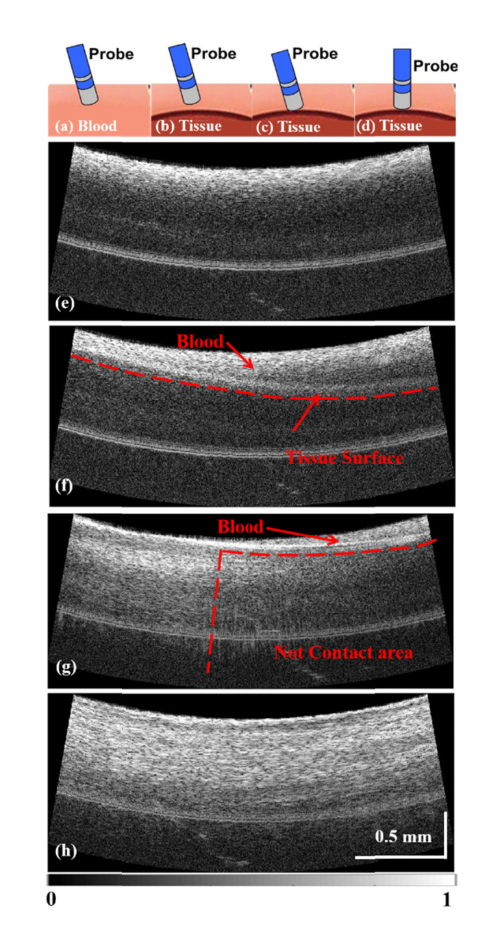 Fig. 5