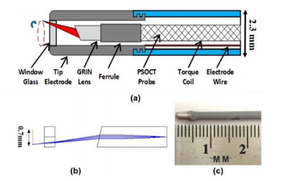 Fig. 1