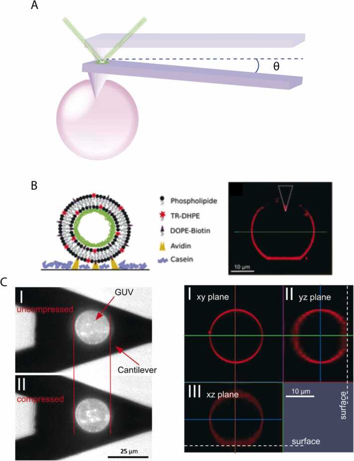 Fig. 2