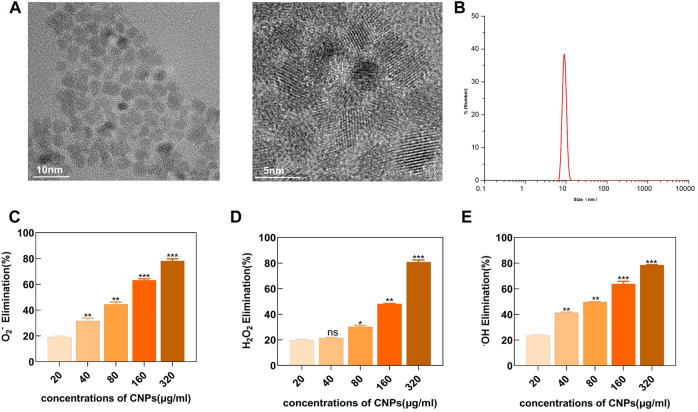 FIGURE 1